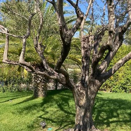 Chez-nous C'est Chez Vous, Piscine, Plages Et Golfs