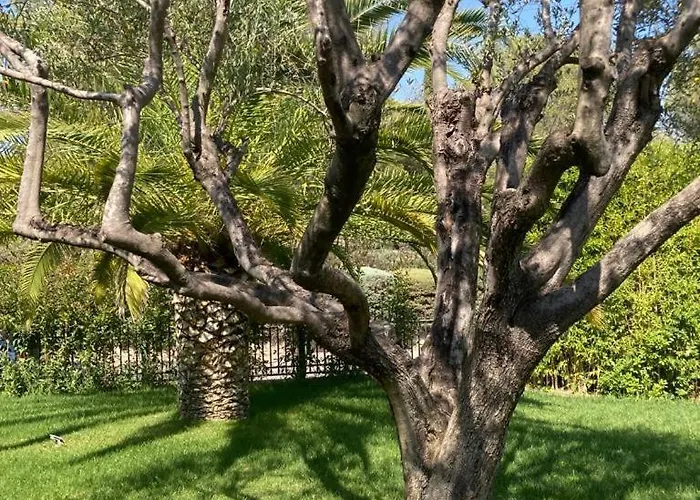 Chez-nous C'est Chez Vous, Piscine, Plages Et Golfs